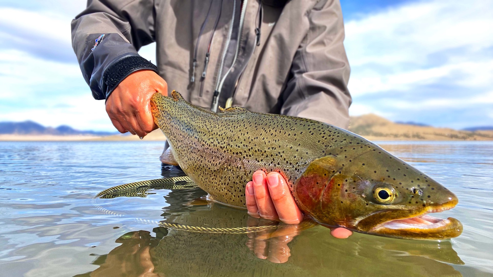 A big rainbow trout held over a high reservoir under a dramatic sky