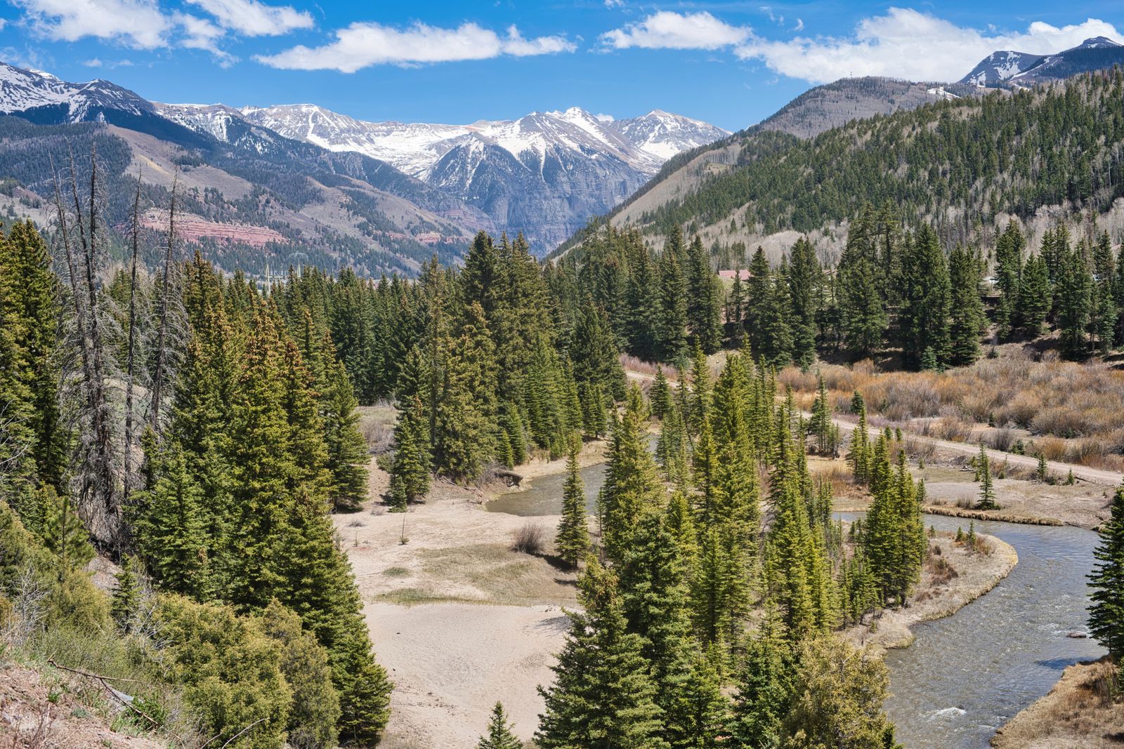 A Colorado river winding through pine forest