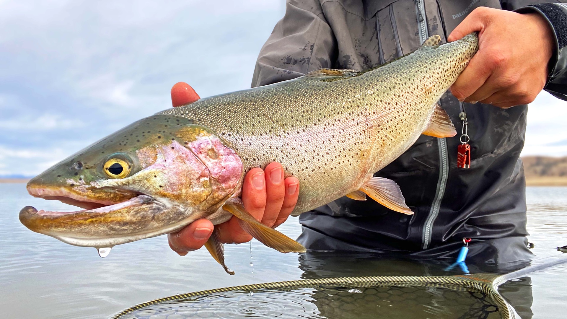 An angler in waders holding a trophy rainbow trout with a reservoir behind