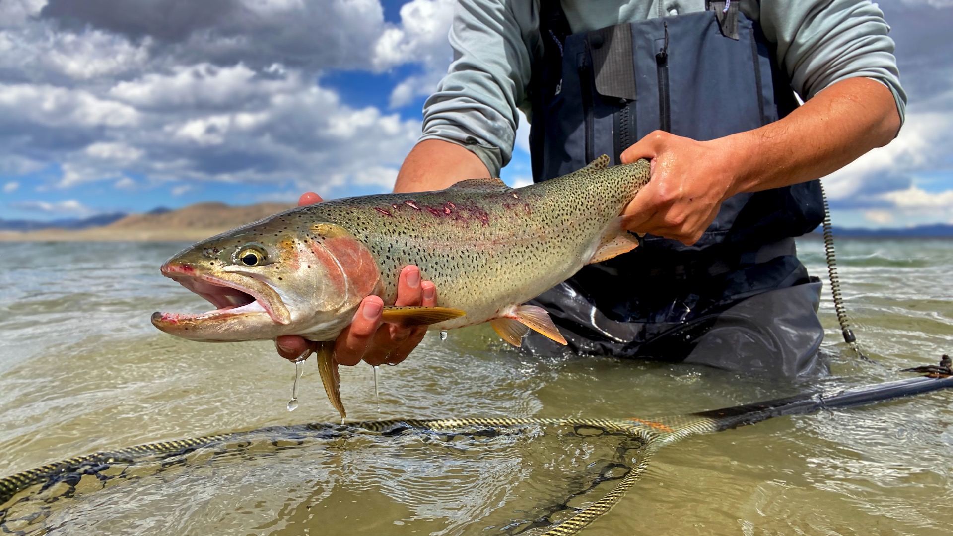 An angler holding a large rainbow trout beneath big clouds